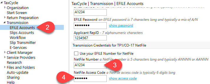 Screen Capture: EFILE Accounts in TaxCycle Options