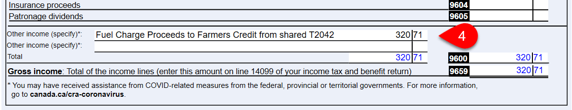 Screen Capture: Other Income Line 9600