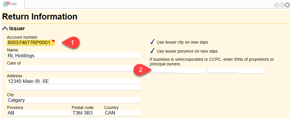 Screen Capture: Issuer information on the T4 Info worksheet