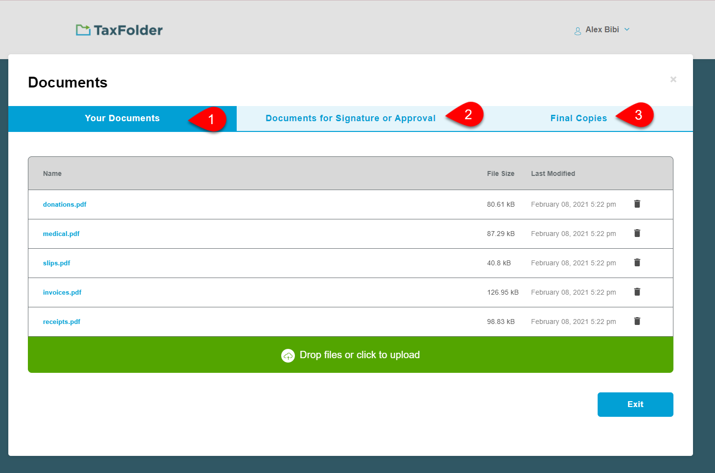 TaxFolder tabs