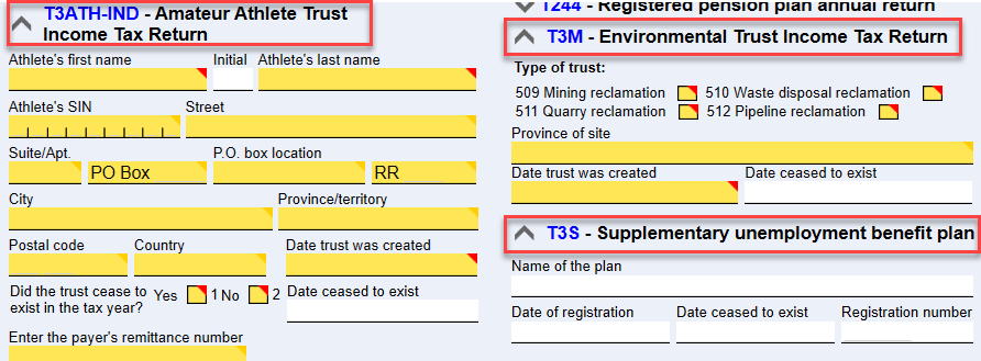 Screen Capture: T3 EFILE return types on the Info worksheet