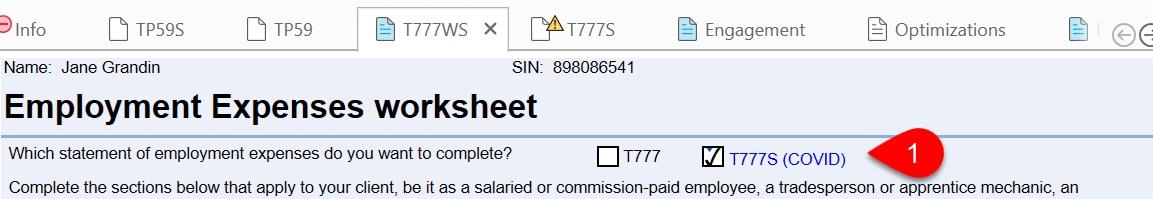 Screen Capture: Which statement of employment expenses do you want to complete?