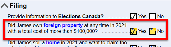 Screen Capture: T1 Foreign Property Question