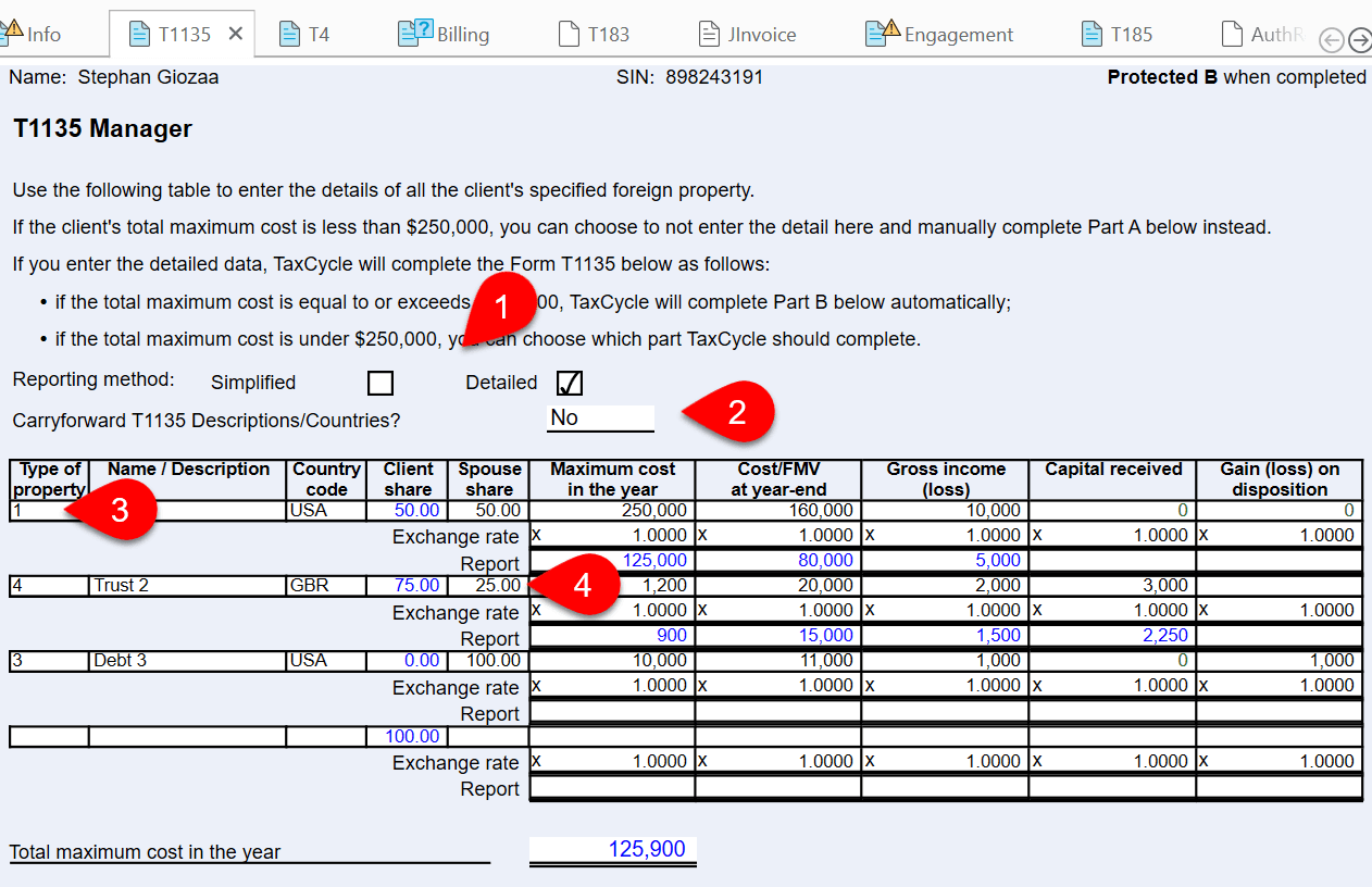 Screen Capture: T1135 Form