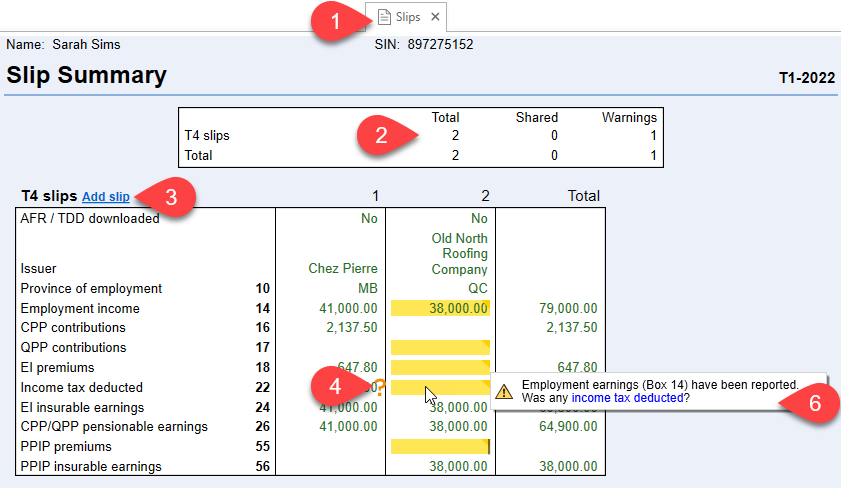 Screen Capture: Slip Summary