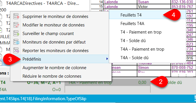 Screen Capture: Add T4 Slips Data Monitor
