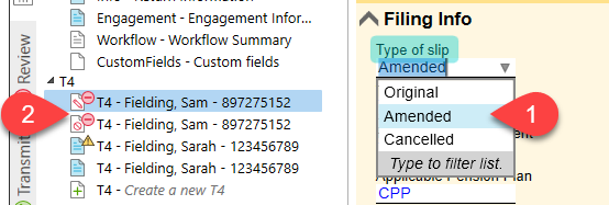 Screen Capture: Slip Type Field and Amended Icon