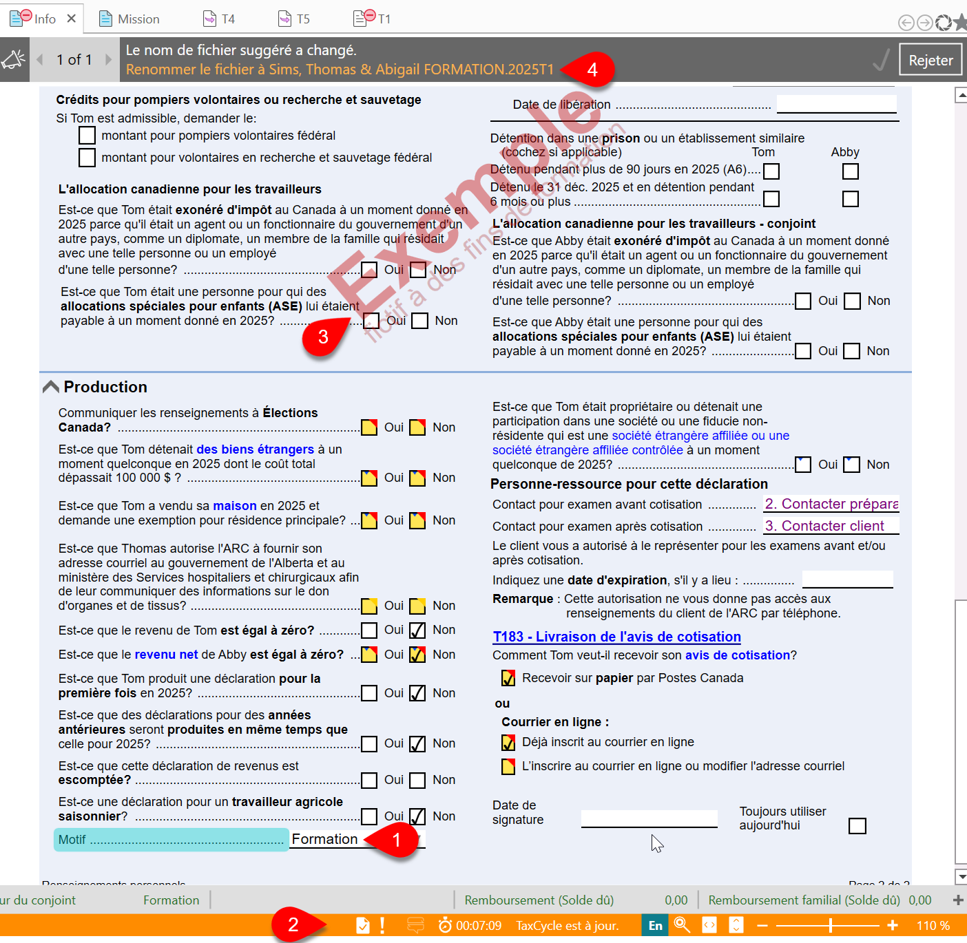 Capture d'écran : Fichier de formation