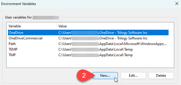 Screen Capture: Environment Variables in Windows 10