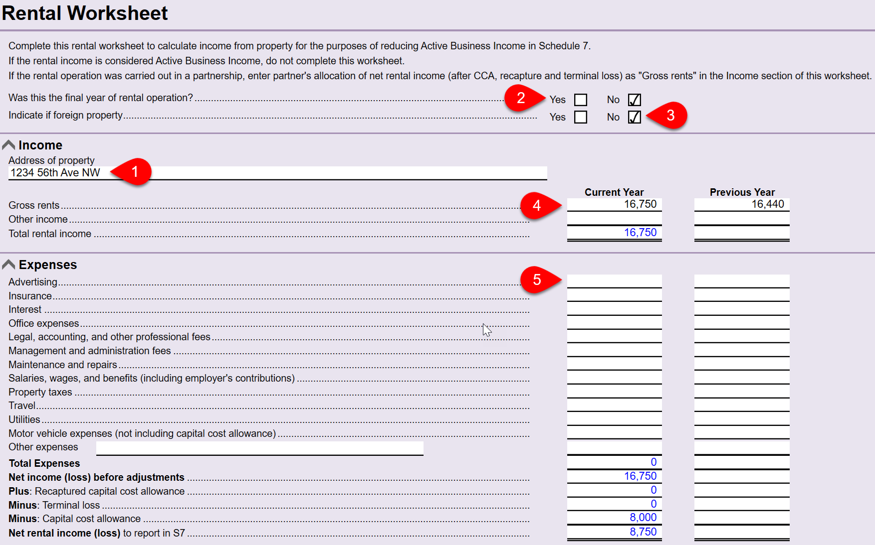 Screen Capture: Rental worksheet
