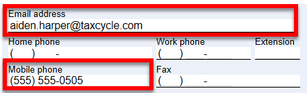 Screen Capture: Client Email and Phone on Info worksheet