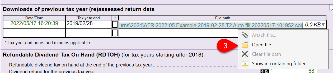 Screen Capture: Downloads of previous tax year return data