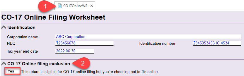 Screen Capture: CO-17 Online Filing Worksheet (CO17OnlineWS)