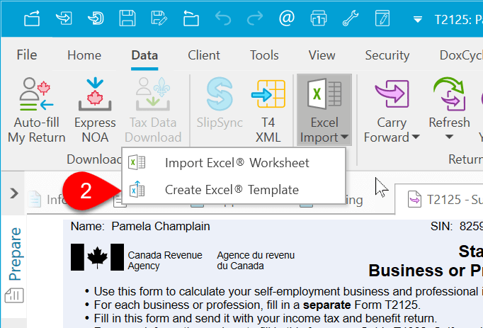 Screen Capture: Create Excel Template