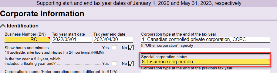 Screen Capture: Info Worksheet in TaxCycle