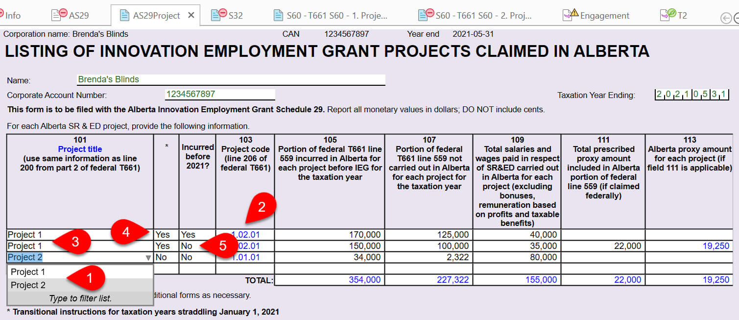 Screen Capture: AS29Project worksheet