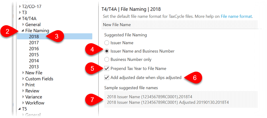 2019-slips-options-file-naming
