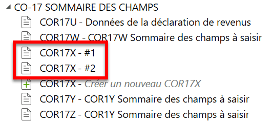 Capture d’écran : Sommaire des champs à saisir pour la CO-17