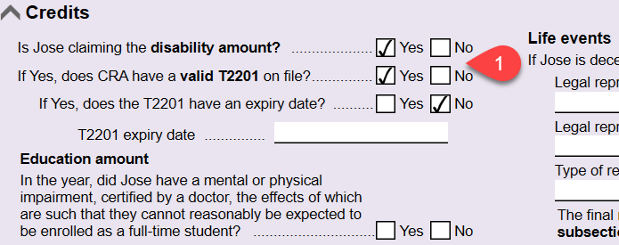Screen Capture: Disability amount and T2201 on the Info worksheet