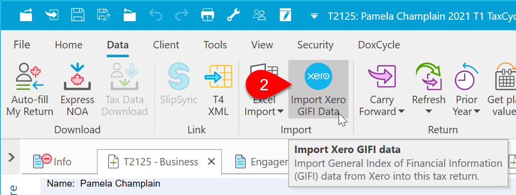 Screen Capture: Import Xero GIFI Data