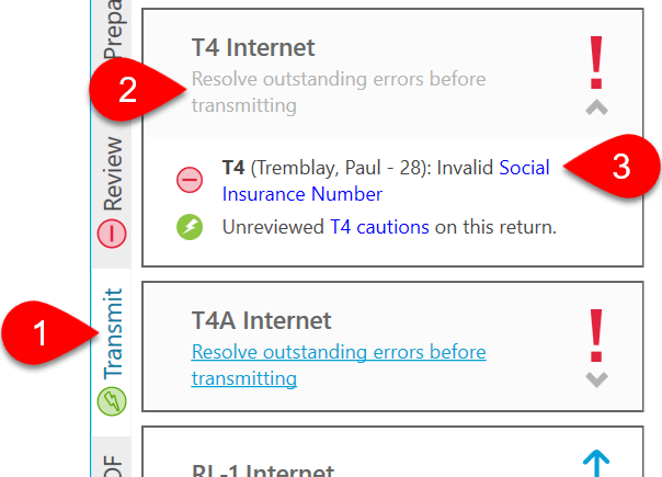 Screen Capture: Resolve Outstanding Errors Before Transmitting