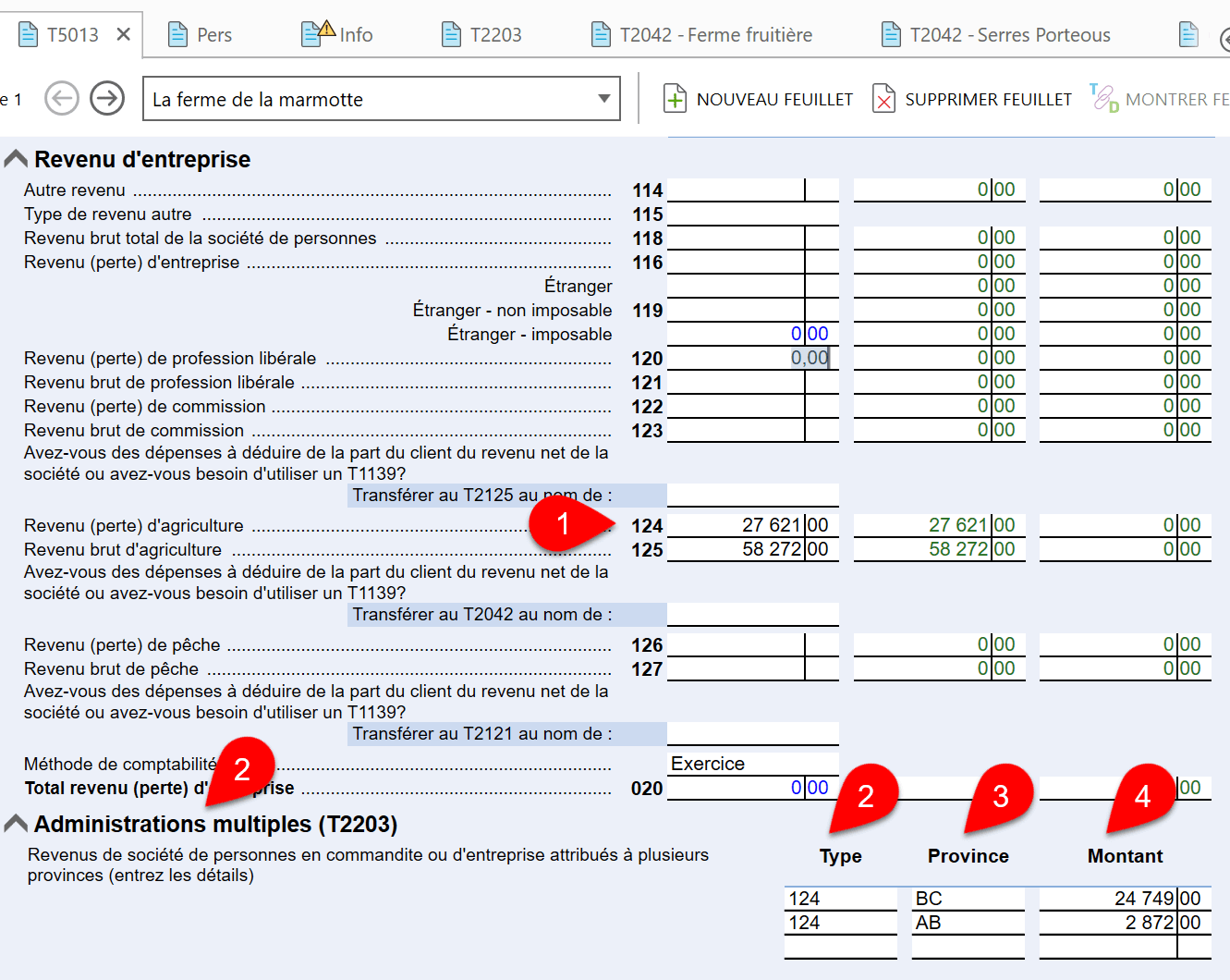 Capture d'écran : T5013 administrations multiples (T2203)