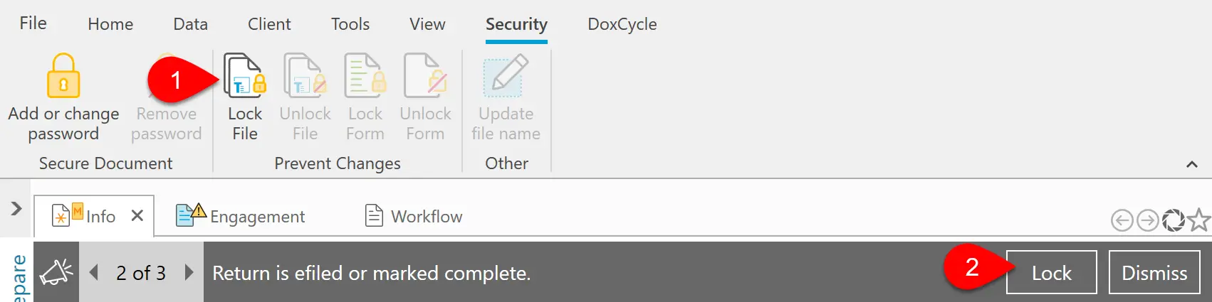 Screen Capture: Lock File in the Security Menu