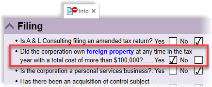 Foreign property question on the T2 return