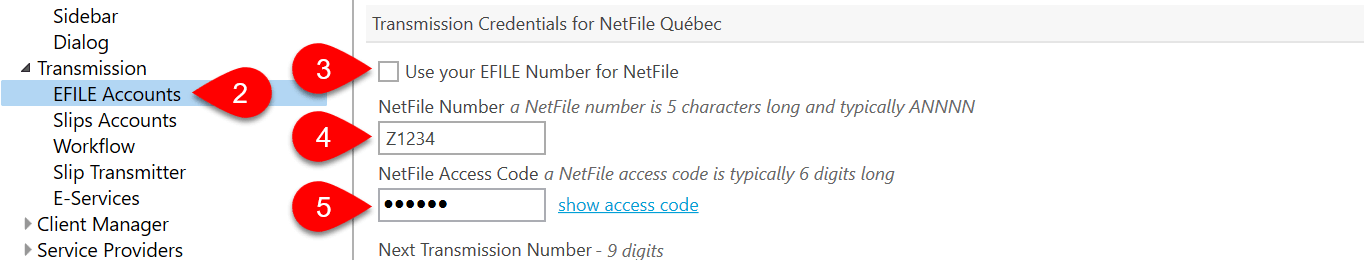 NetFile Options