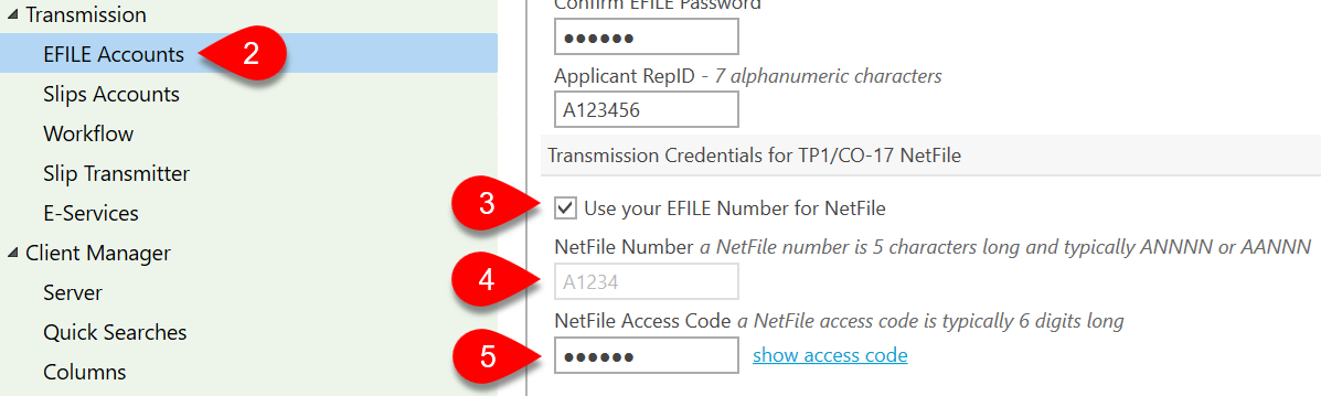 NetFile Options