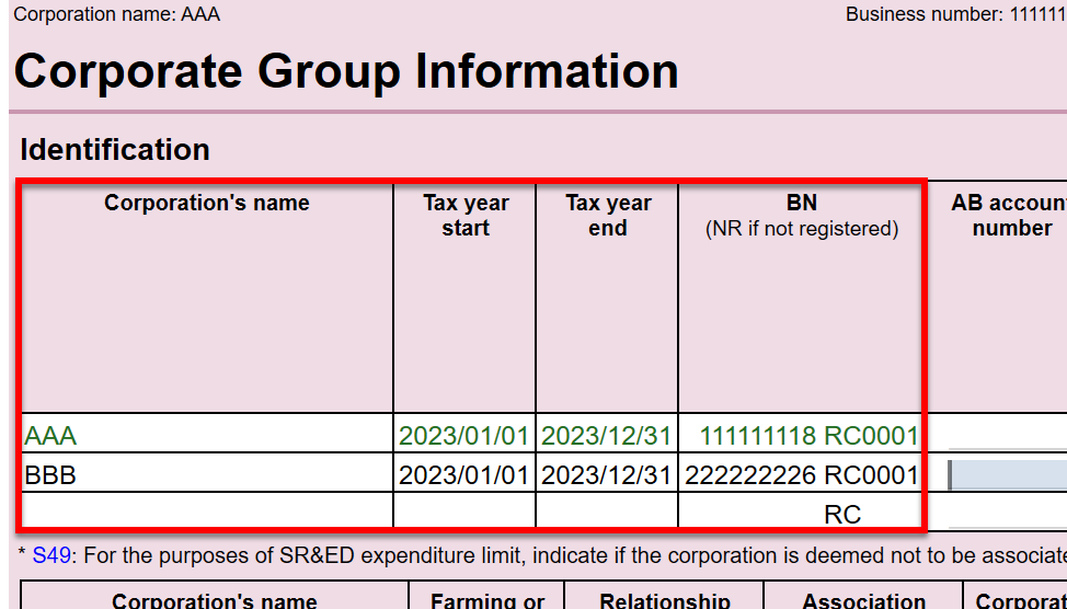Screen Capture: Corporate Group Information