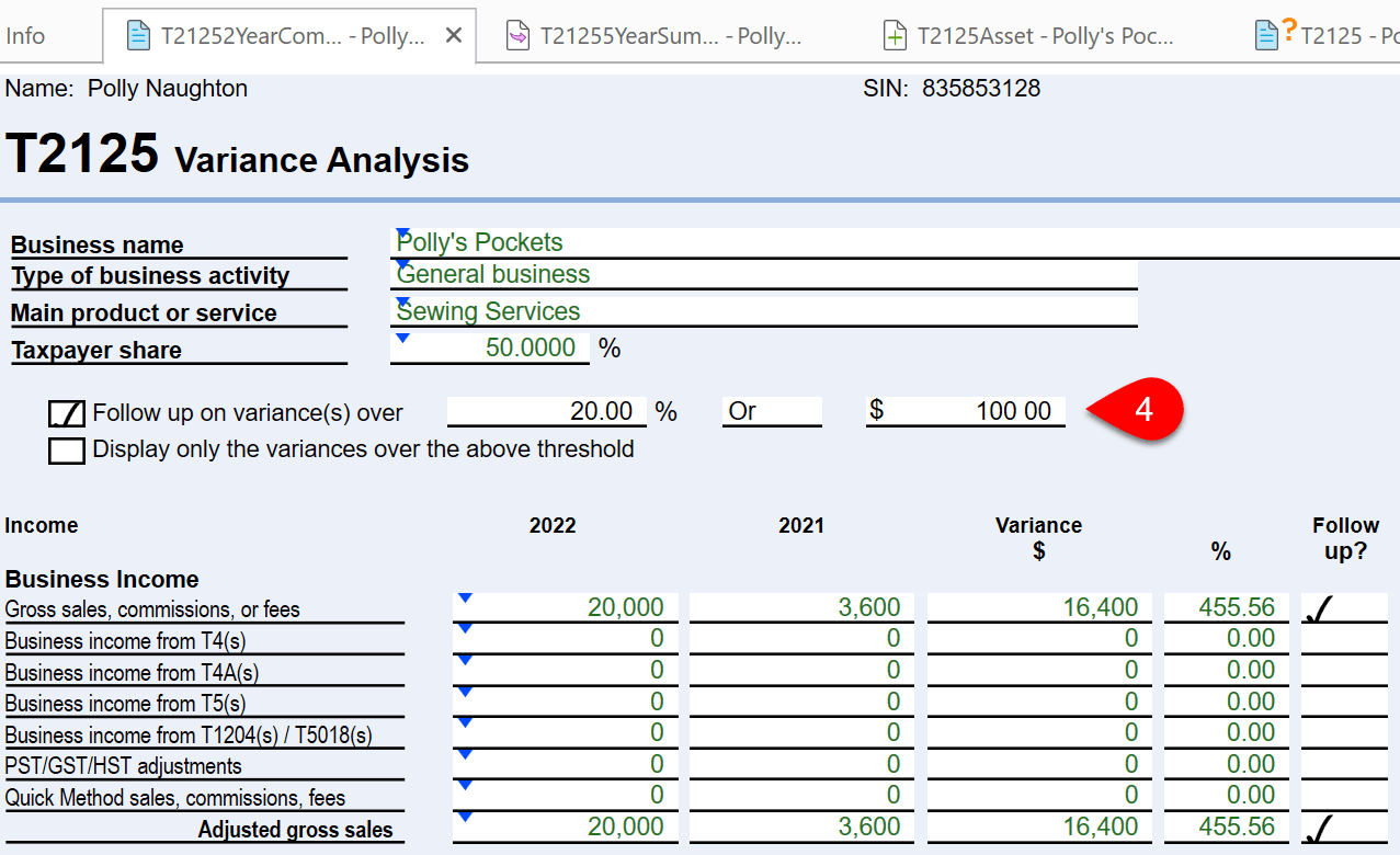 Screen Capture: T21252YearSummary