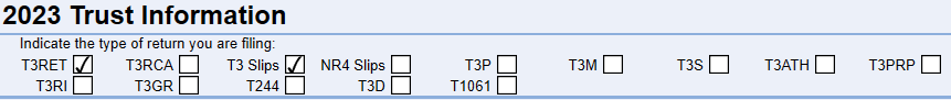 Screen Capture: T3 return types at the top of T3 Info worksheet