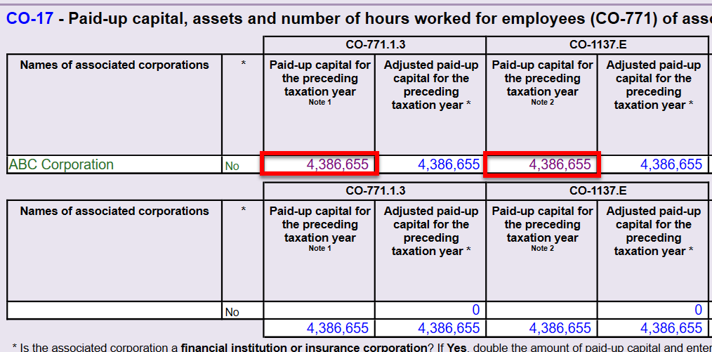 Screen Capture: CO-17 table on the CGI worksheet