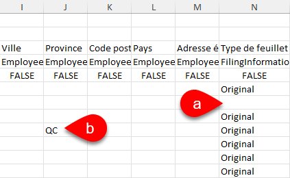 Capture d’écran : Feuille de calcul Excel