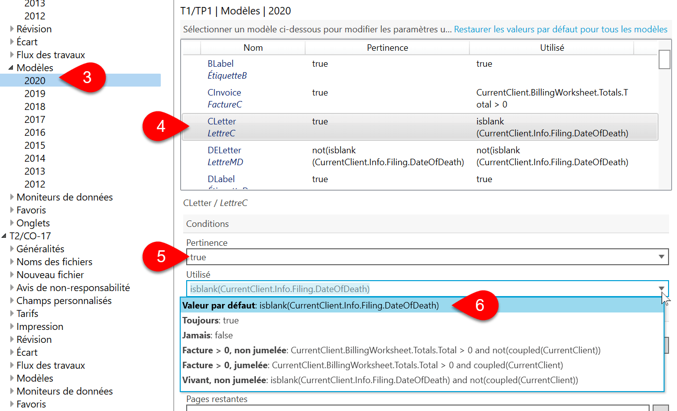 Capture d’écran : Template Conditions Options