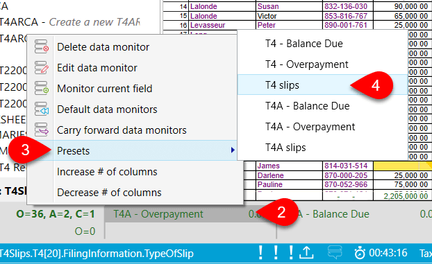 Screen Capture: Add T4 Slips Data Monitor