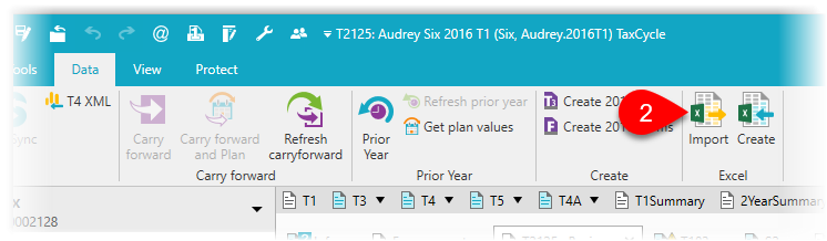 Import Excel to TaxCycle