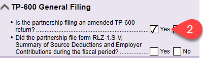 Screen Capture: TP-600 General Filing section on the Info worksheet