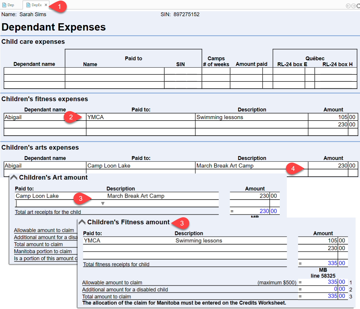 Screen Capture: Children's fitness and art amounts on Dep and DepEx worksheets