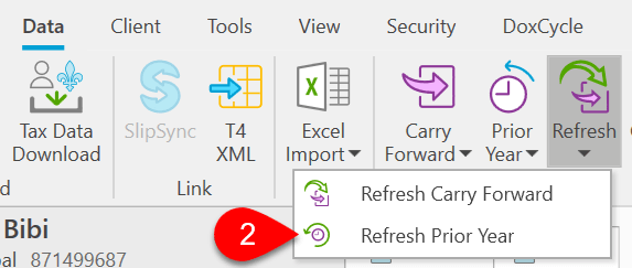 Screen Capture: Refresh Prior Year