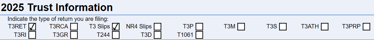 Screen Capture: T3 Info worksheet